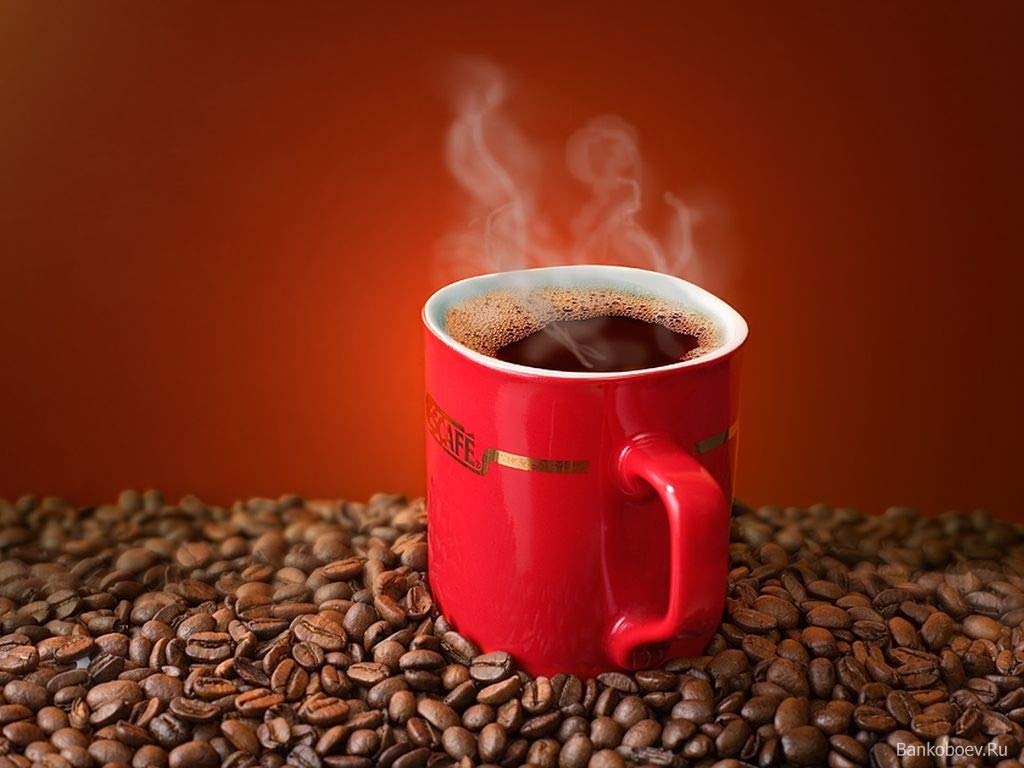 Instant Coffee 14 Ounce X385898