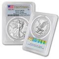1 oz American Silver Eagle Coin MS-70 Y324670