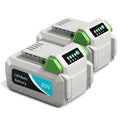 20V 4.0Ah Rechargeable Lithium Battery X653
