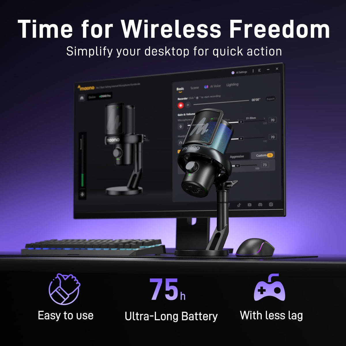 Wireless USB Gaming Microphone F8745