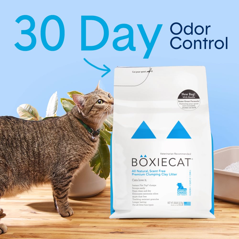Unscented Clumping Cat Litter 16 lb G94542