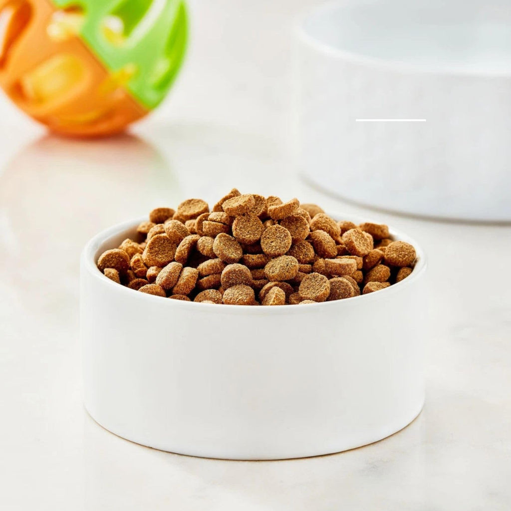 Seafood Blend Dry Cat Food 16 lb Bag O519