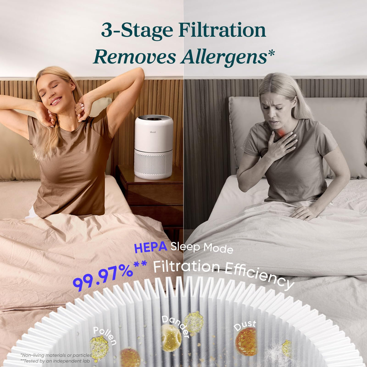 Air Purifier F8849