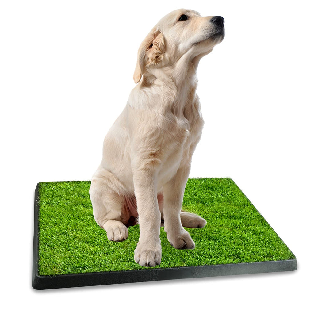 Indoor Dog Potty Grass Pad with Tray V142