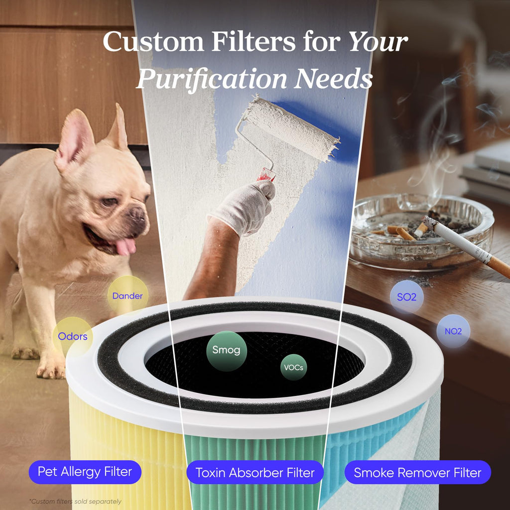 Air Purifier F8849
