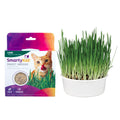 Organic Oat Grass Cat Grass Grow Kit D6921