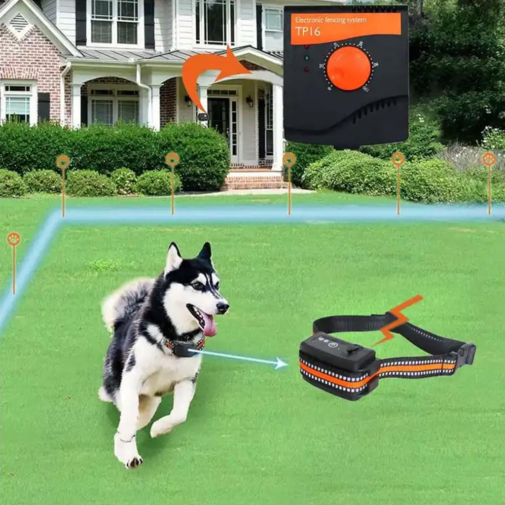 Electric In-Ground Dog Fence Waterproof Shock Collar F433