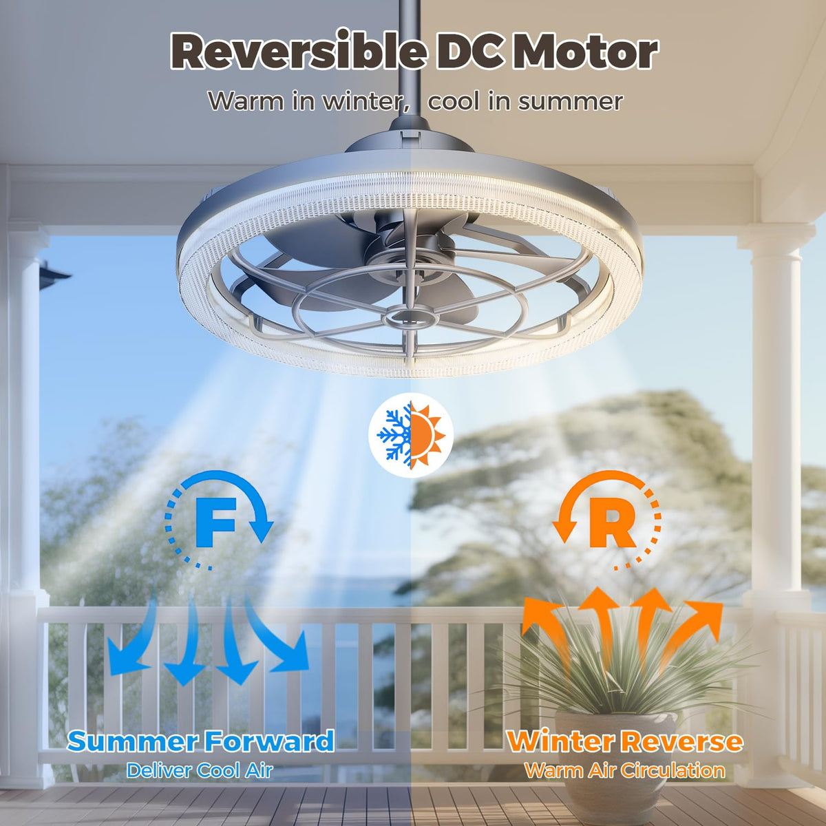 20" Outdoor Ceiling Fan with Light Q860