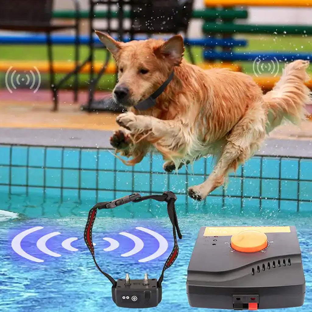 Electric In-Ground Dog Fence Waterproof Shock Collar F433