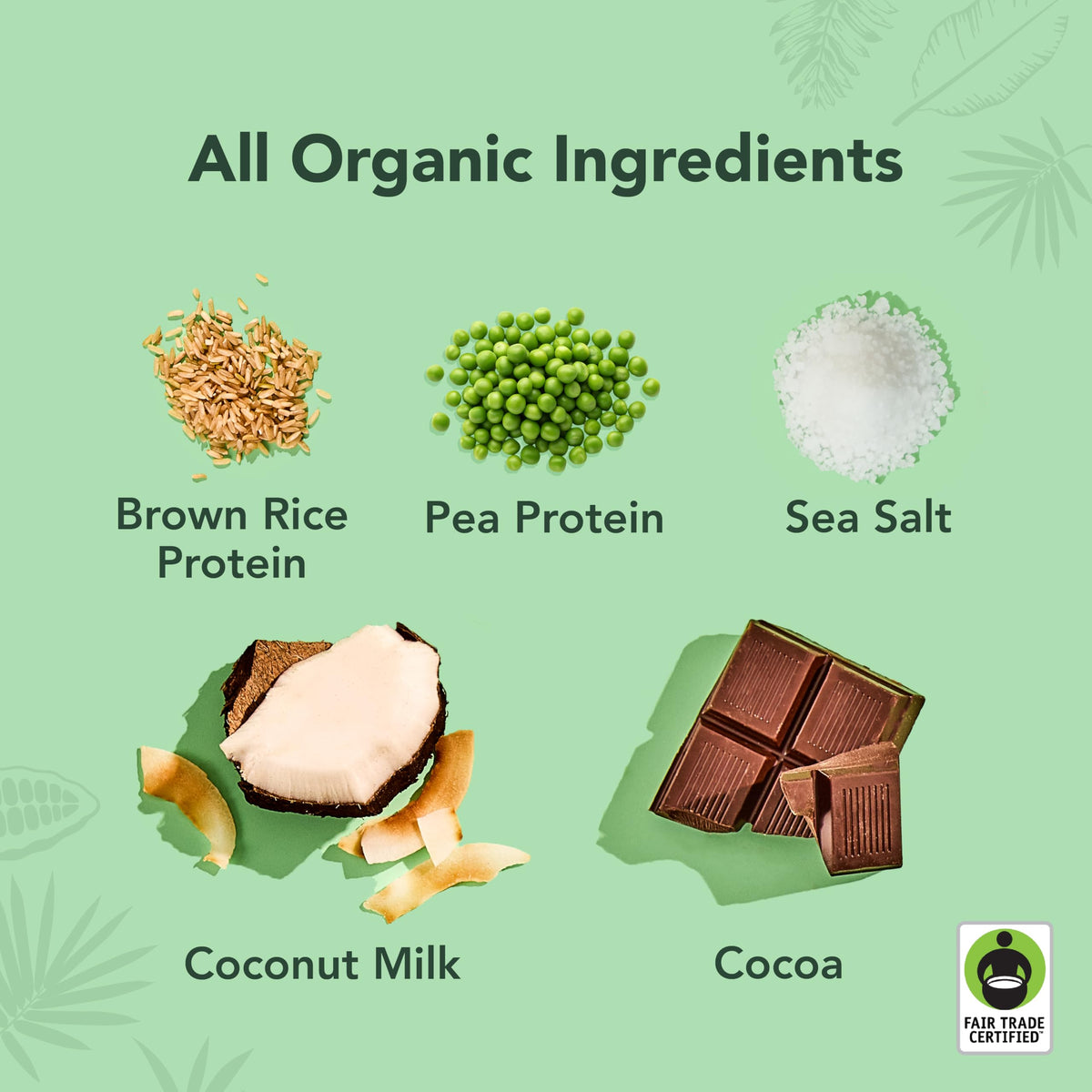Chocolate Sea Salt Organic Plant Based Protein Drink B705247