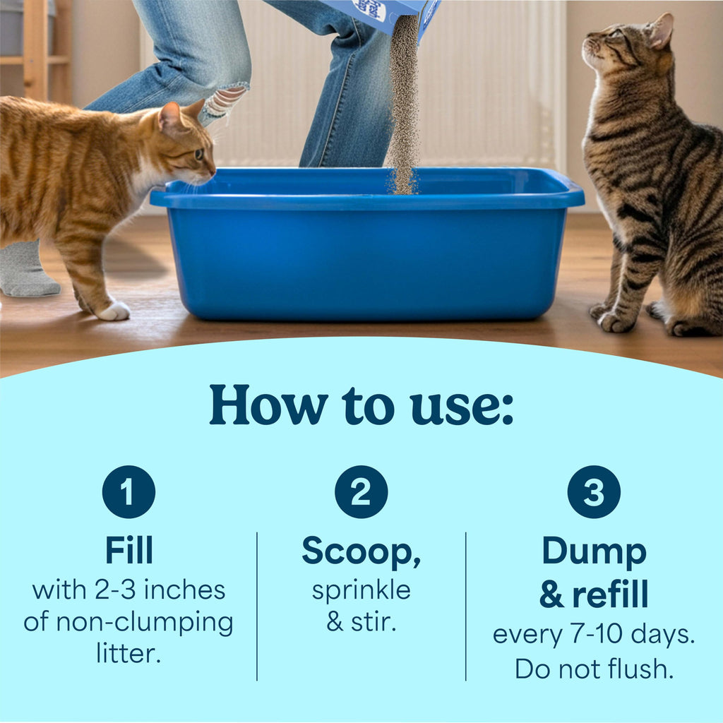 Non Clumping Cat Litter with Odor Control, 21 lb. Bag J79428