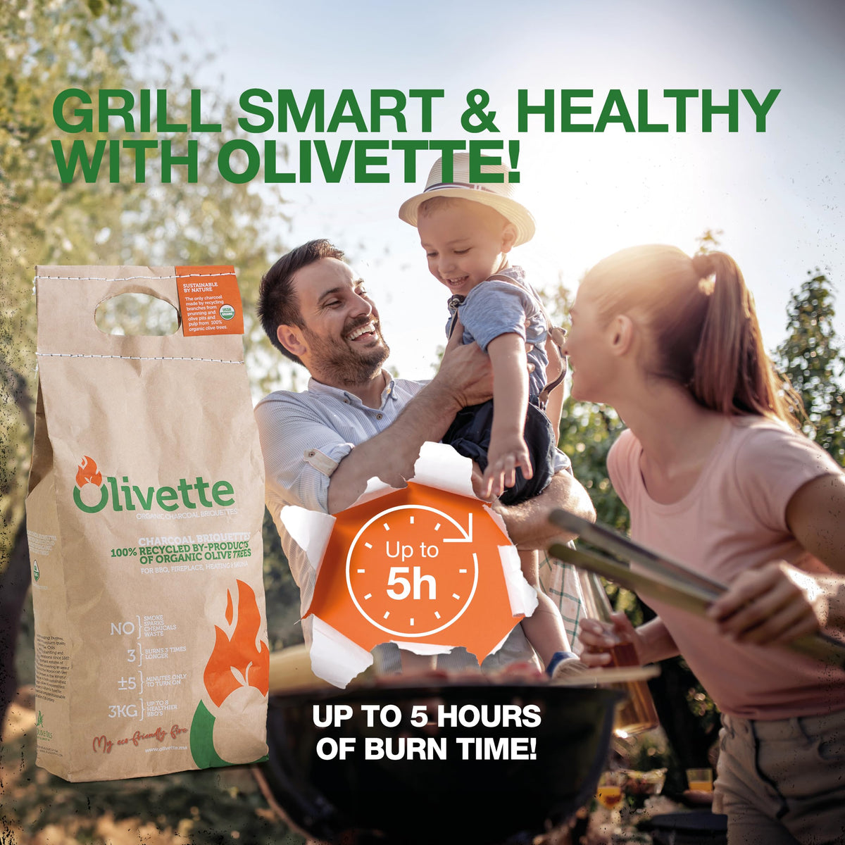Organic BBQ Charcoal Briquettes 6.6 lb Bag R46519