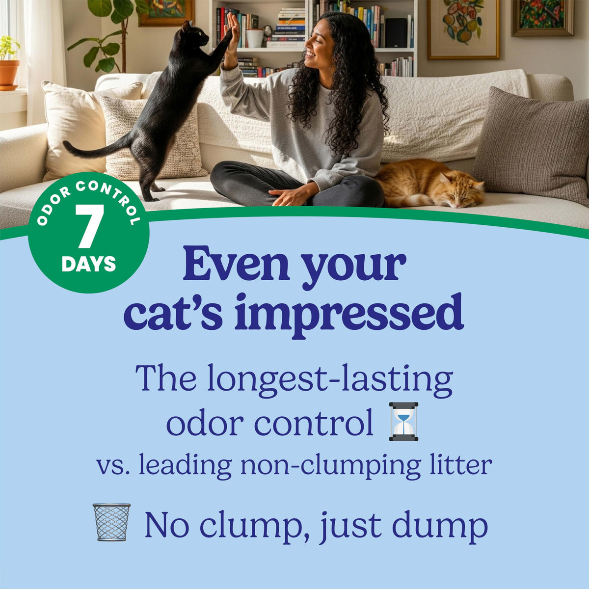 Non Clumping Cat Litter with Odor Control, 21 lb. Bag J79428