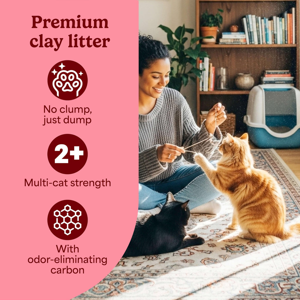 Non Clumping Cat Litter with Odor Control, 21 lb. Bag J79428