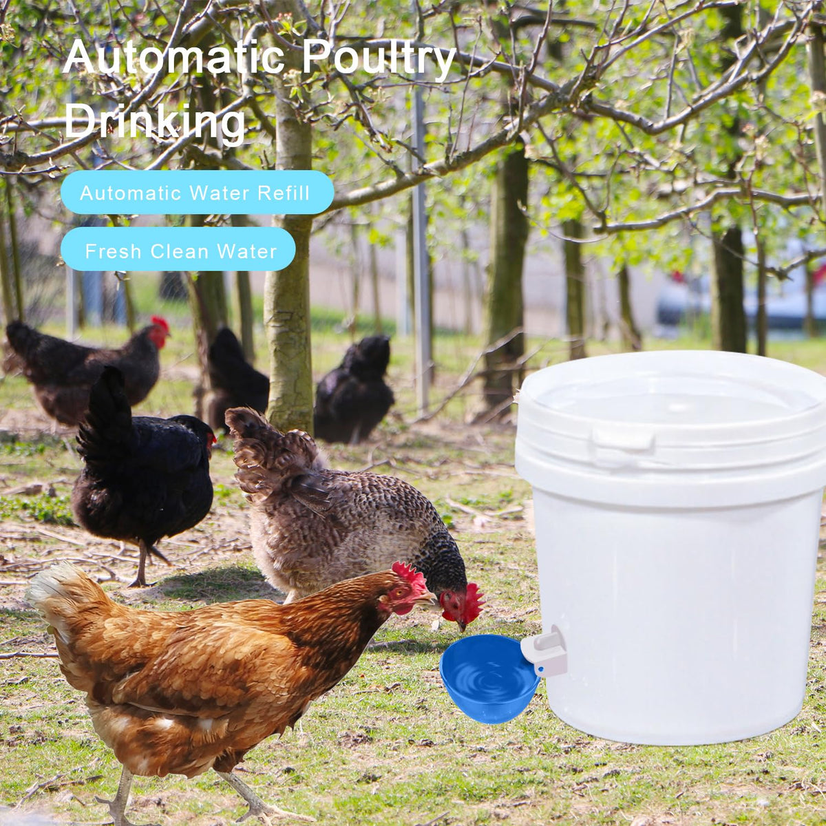 8 Packs Blue Large Chicken Waterer Cups D22395