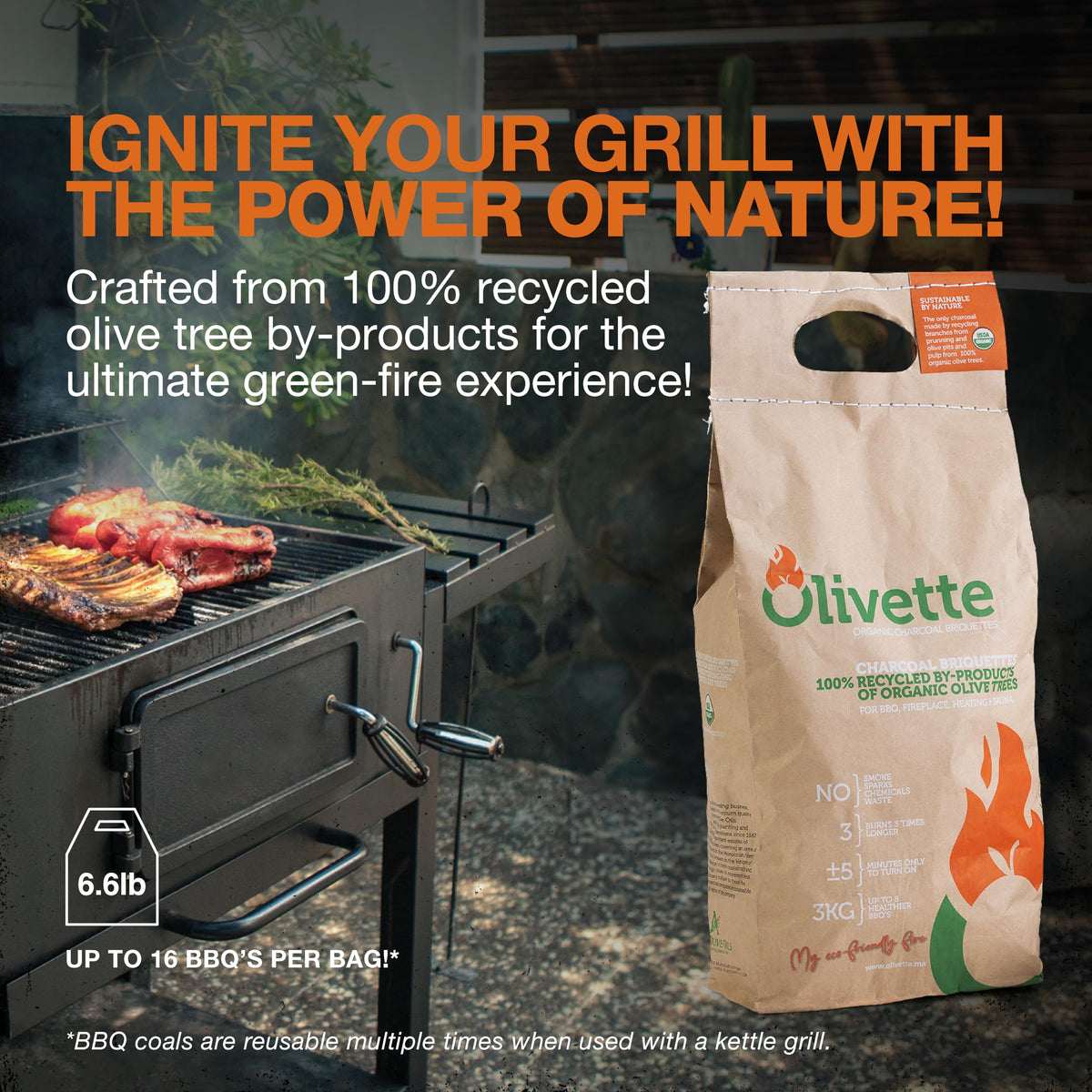 Organic BBQ Charcoal Briquettes 6.6 lb Bag R46519