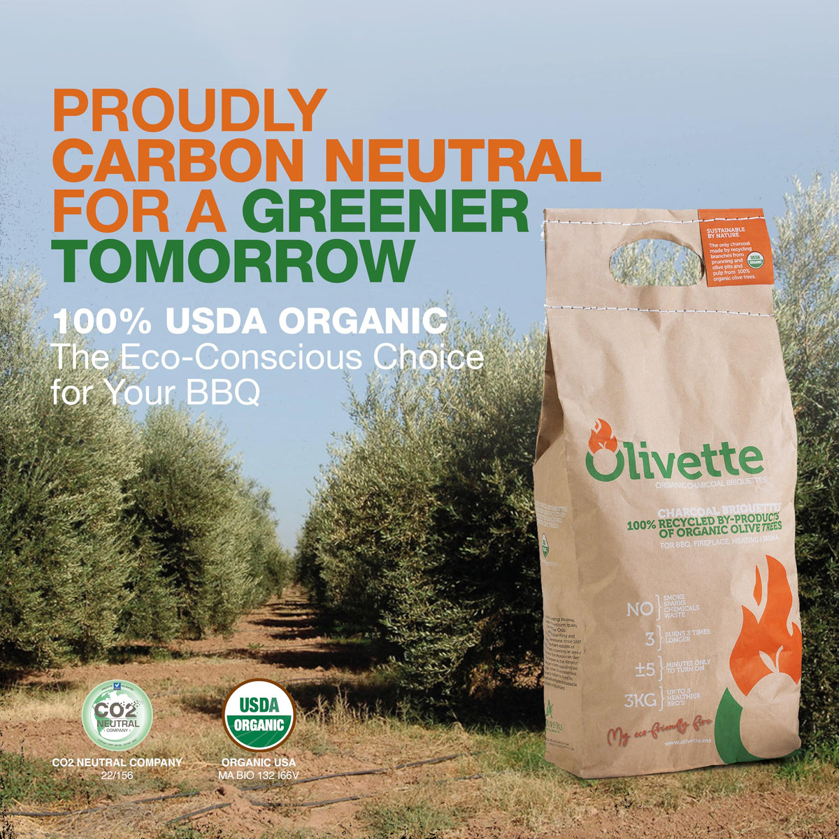 Organic BBQ Charcoal Briquettes 6.6 lb Bag R46519
